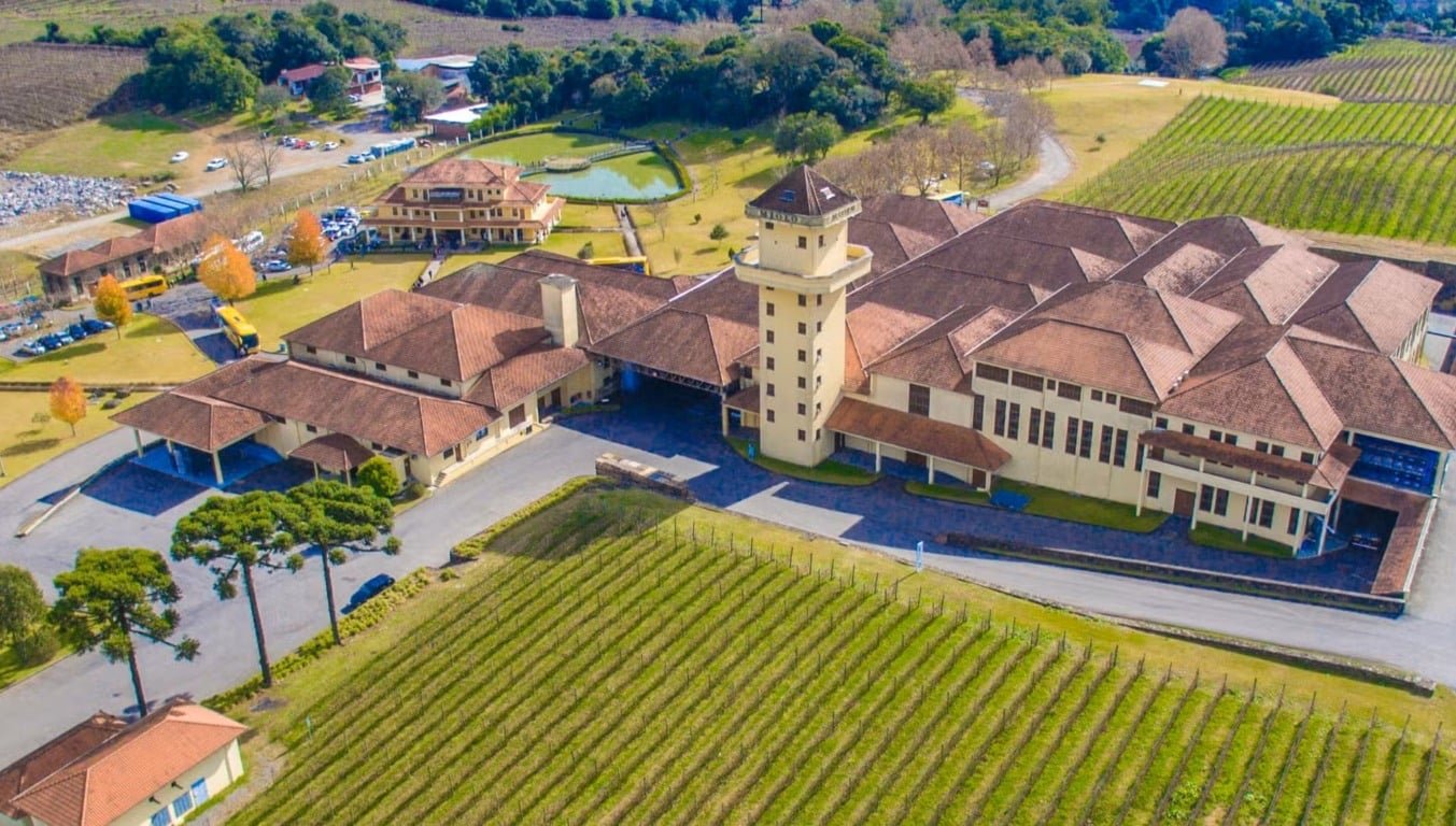Vinhedos da Serra Gaúcha